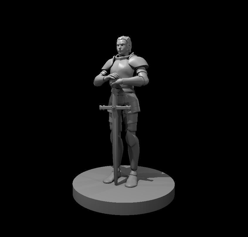 Dungeons and Dragons Miniature- Human Fighter - Precision Custom Crafts