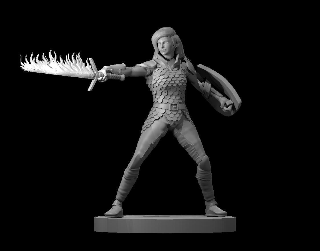 Dungeons and Dragons Miniature- Human Fighter - Precision Custom Crafts